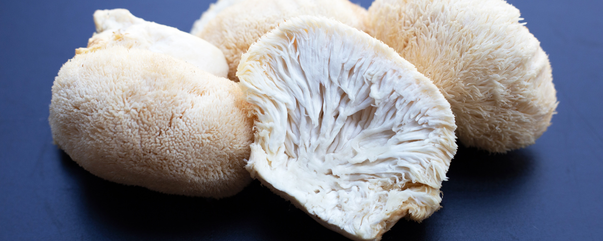 best mushrooms for memory