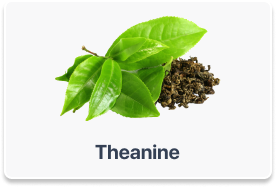theanine